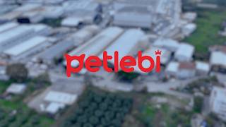 Petlebi Depoda Bir Gün: Sevgi, Hız ve Özen