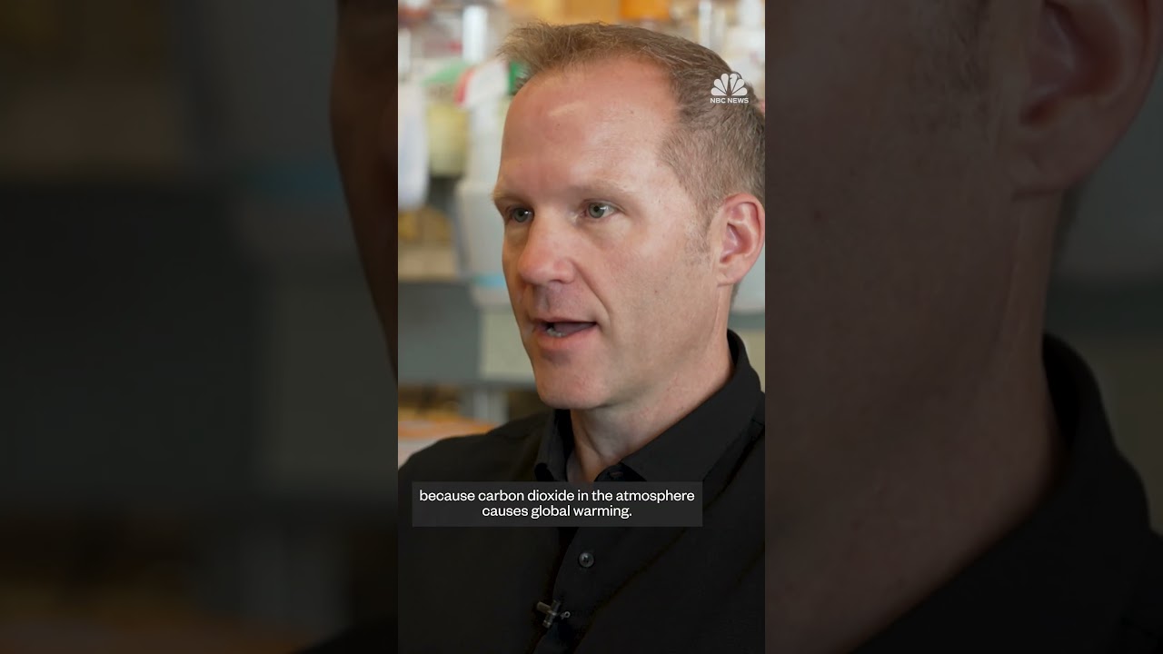 Scientists are developing crops to fight climate change