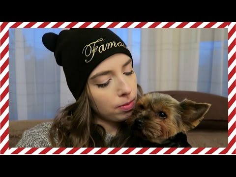 VLOGMAS DZIEŃ 11 2015 | PRZYGOTOWANIA NA KONCERT I MINI HAUL