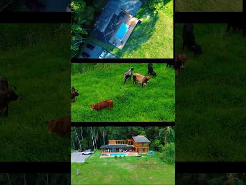 Esse sítio em Bananal SP parece um paraíso escondido 😍