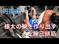 丹野式極太三頭の育て方