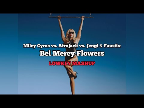 Miley Cyrus vs. Afrojack vs. Jengi & Faustix - Bel Mercy Flowers (LOWKEY Mashup)