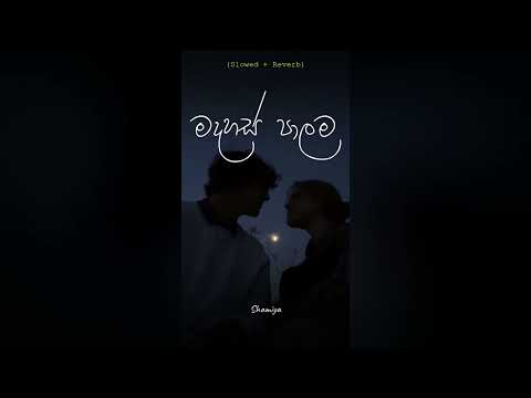 Madahas Palama | මදහස් පාලම (Slowed + Reverb)