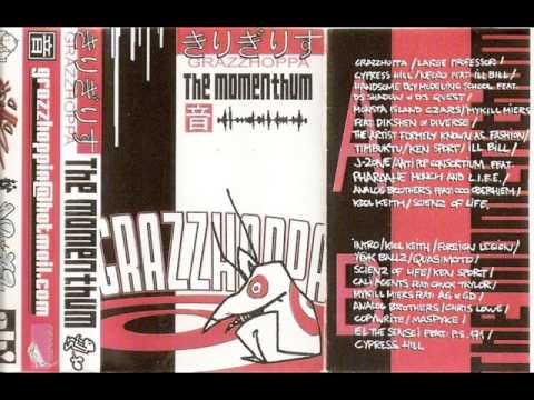 Dj Grazzhoppa - The Momentum
