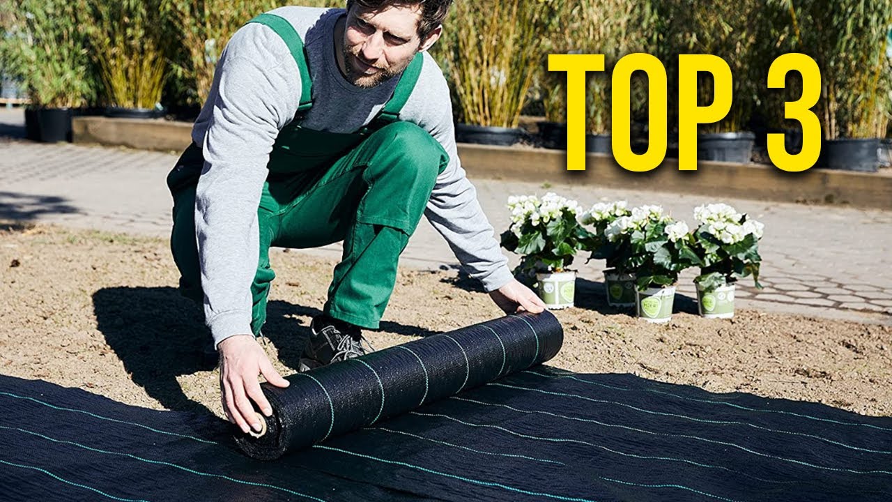 TOP 3 : Meilleure Toile de Paillage 2021