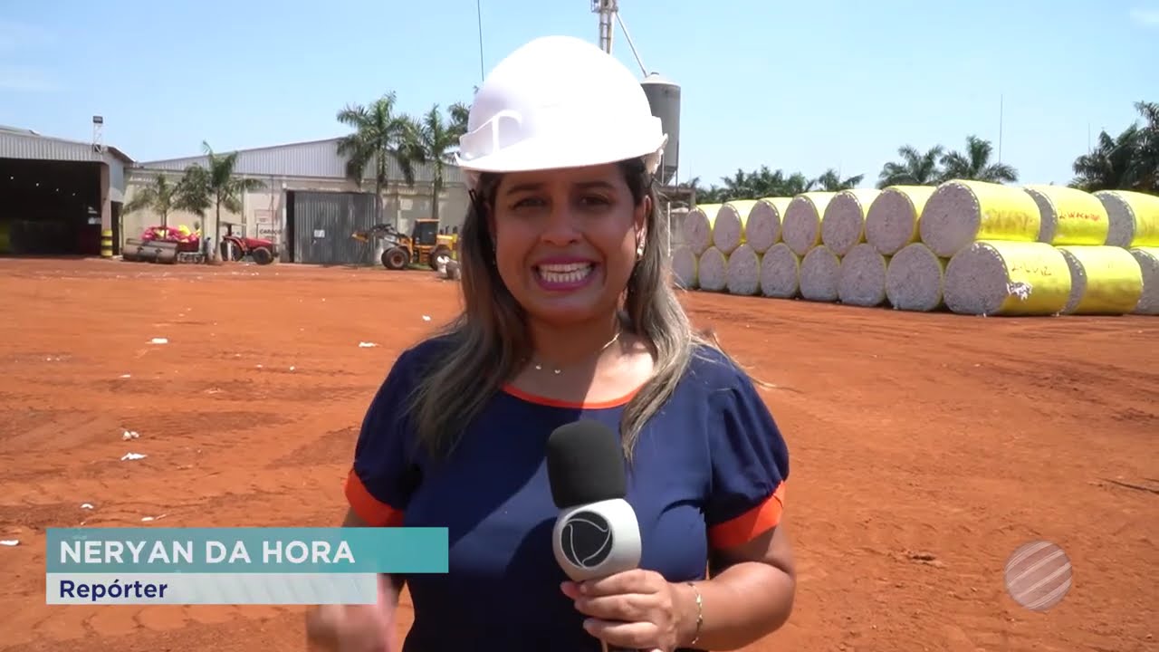 ALGODÃO MOVIMENTA A ECONOMIA DE LUCAS DO RIO VERDE E GERA EMPREGOS