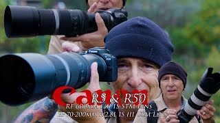 Lets compare some lenses on the R50 in low light shooting hummingbirds, and the same lens on the R5!