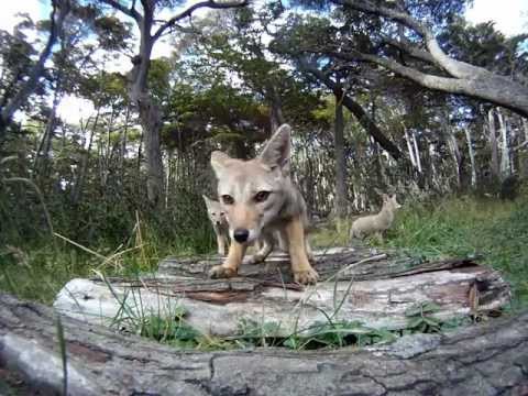 70 Days of Machu Picchu, Galapagos,  Patagonia, Death Road, Salt Flats and climbing Sugar Loaf