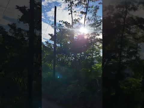 sintana El Quetzal San Marcos.