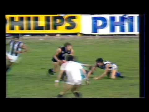 1981 Round 11 Carlton vs North Melbourne - Blues Highlights
