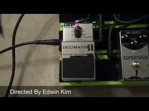 ISP Technologies Decimator II Noise Reduction Pedal Review