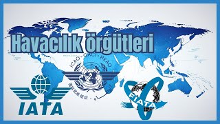 Havacılık sektöründeki Kargo Taşımacılığı Örgütleri | lojistik 101