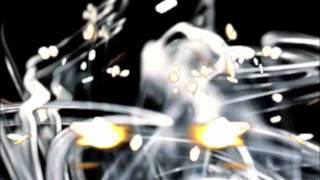 The Organ Beats - Heaven is a Place on Earth