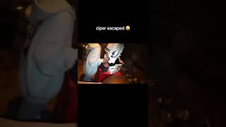 Capri And Piper Rockelle ESCAPE From The Escape Room! 🎉