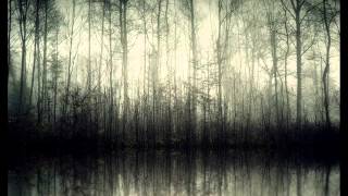 Darkthrone -Transylvanian Hunger 06- I En Hall Med Flesk Og Mjod