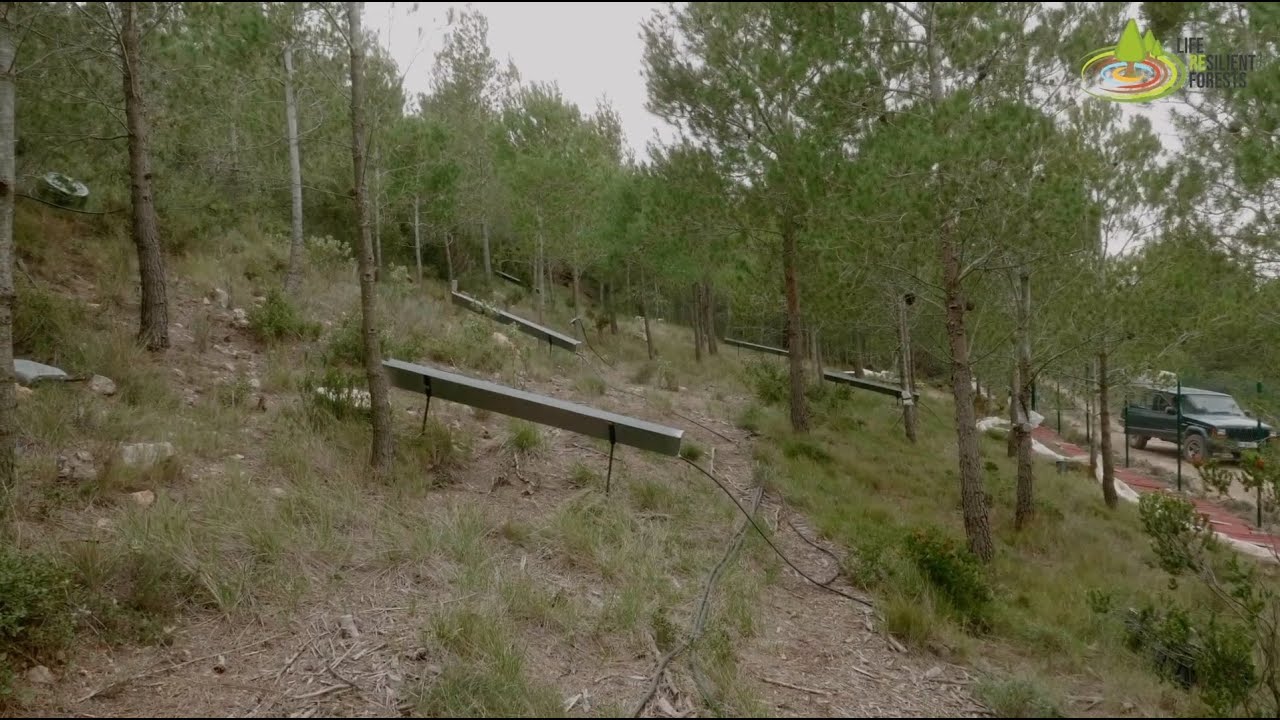 Resilient Forests E06 - Experimental Forest Plots