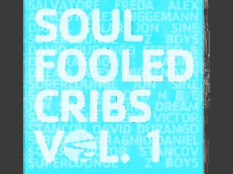 Jon Sine - Just Potential - Soulfooled Cribs Vol.1