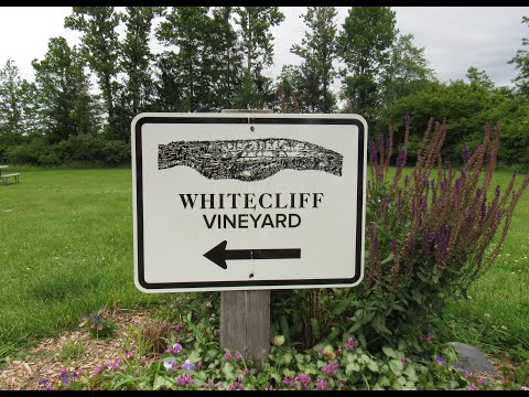 Exploring the Shawangunk Wine Trail - Whitecliff Vineyard