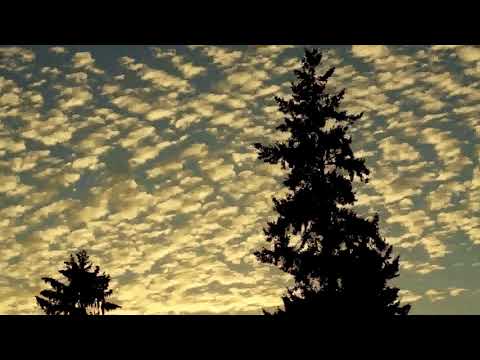 Copy of 7/14/16 Timelapse