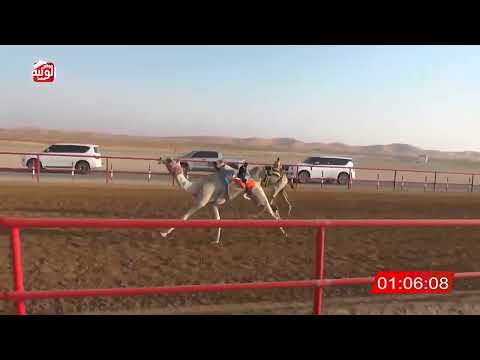  ش 15 دخول جماعي 2:16:82 ، شارة الصندوق 2026/05/09 فطامين الرقيعات