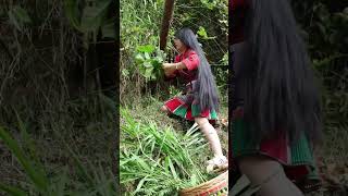 Download lagu We Went Herb Picking In The World's Longest Hair Village 🌿✨ #longhair #herbsforhealth mp3