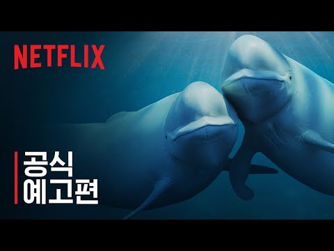 공식 예고편 [자막] 예고편