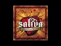Saliva - Starting Over