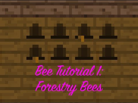 Bee Tutorial 1: Forestry Bees