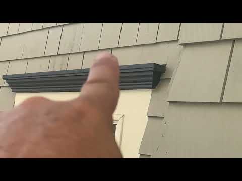 Cleaning Up After the Pigeons & Stopping Them From Roosting in Brielle, NJ