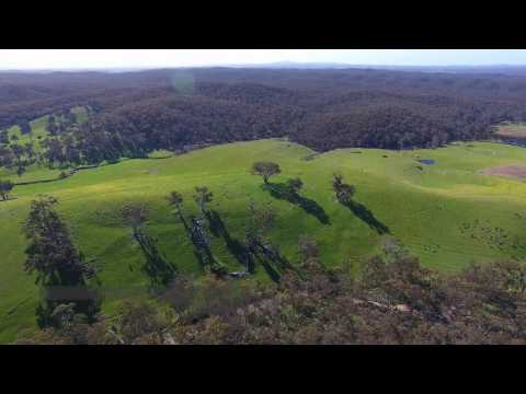 725 Green Gully Road, Glenlyon, VIC 3461, 0 ਕਮਰੇ, 0 ਬਾਥਰੂਮ, Section
