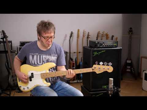 Bergantino Forte HP w/ P-Bass