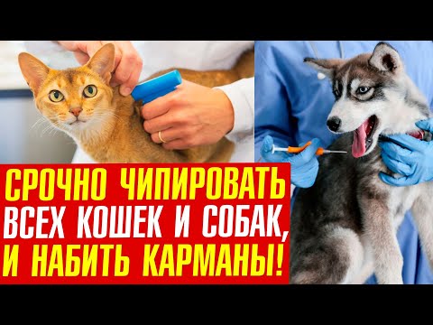 Власти уже не знают как изъять побольше денег у народа!