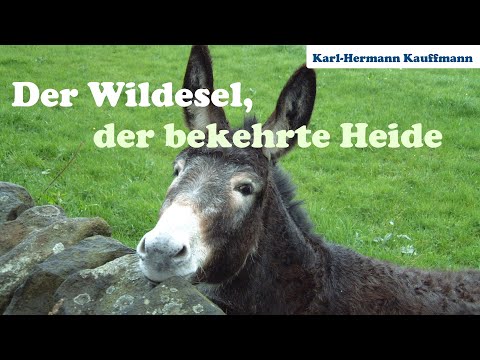Der Wildesel (der bekehrte Heide) - Karl-Hermann Kauffmann