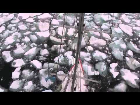 Tara retrouve la glace - Expédition Tara Oceans Polar Circle - 15 août 2013