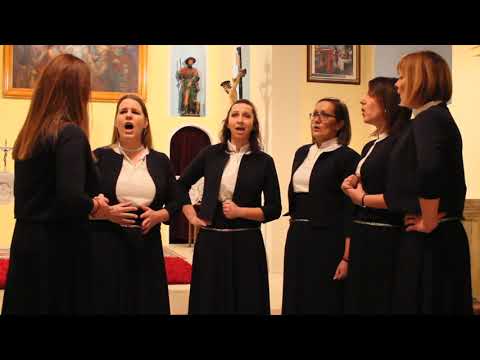 KLAPA DIVNA -  MISAO SVIJETA