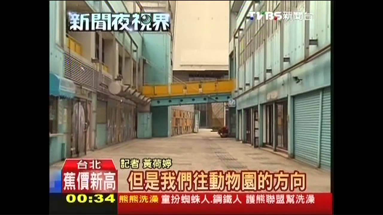 「可愛招財貓」KITTY貓纜現人潮 拚營收
