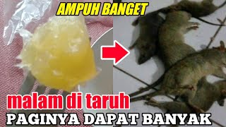 Download lagu EFFECTIVE AT RIDING ROTTS | YOU MUST TRY IT mp3