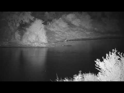 Djuma: Sights and sounds - 03:55 - 04/25/20