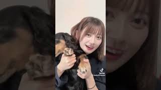 #可愛いくてごめん 楓ちゃん💕と🐶だふるだ🐶の巻🫶🫶