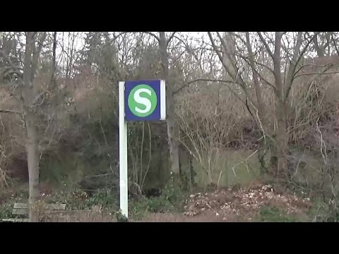 Wie viele Menschen befördert die S-Bahn Nürnberg?