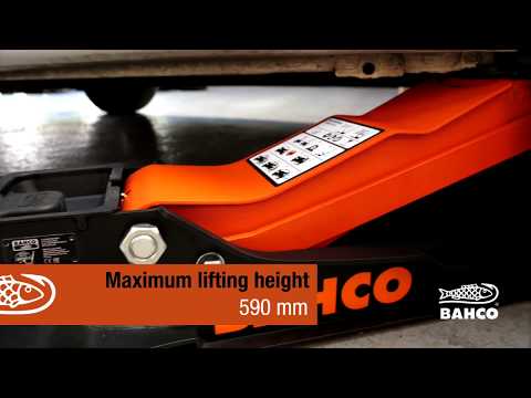 Jack + Stands - Image 2