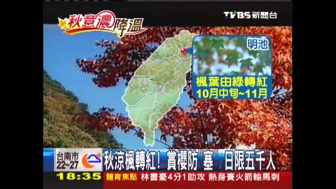 秋涼楓轉紅!賞櫻防「塞」 日限5千人