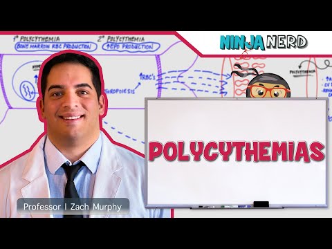 Hematology | Polycythemias