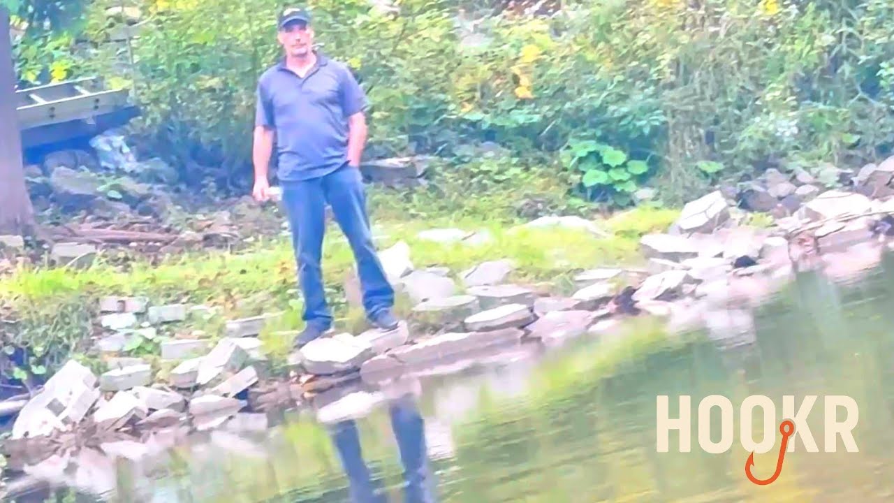 Viral content reaching 950,000 views