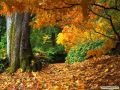Richard Clayderman "Autumn Leaves" - Ричард ...