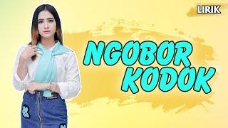 Download lagu Ngobor Kodok - Lirik || Era Syaqira mp3