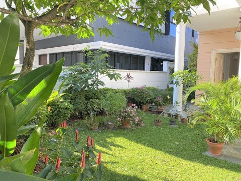 Chwee Chian Road Semi Detached House Rental Lease, Chwee Chian Road, 5 Bedrooms, 4,500 sqft, Semi-Detached House For Rent, by Ben Lee, 24371725 - PropertyGuru.com.sg
