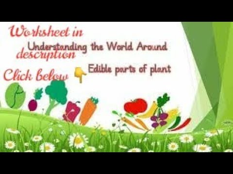 Let's learn Edible parts of plant || Eatable parts of Plant for humans (In English)