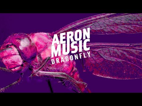 AeronMusic - Summer Solstice (Dragonfly EP)