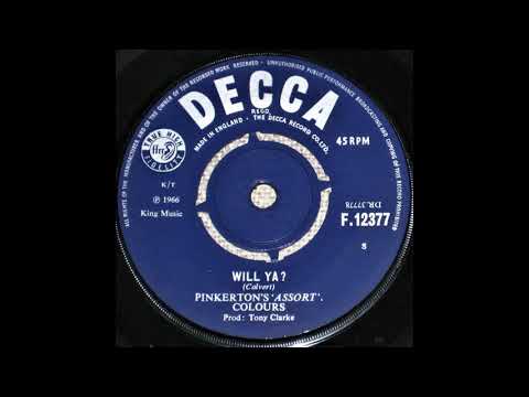 Will Ya? - Pinkerton's Assorted Colours